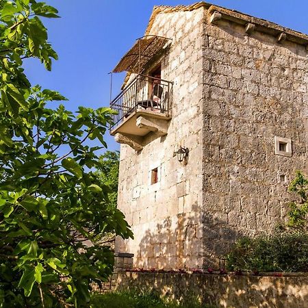 Old Small Stone House Zrnovo Bagian luar foto