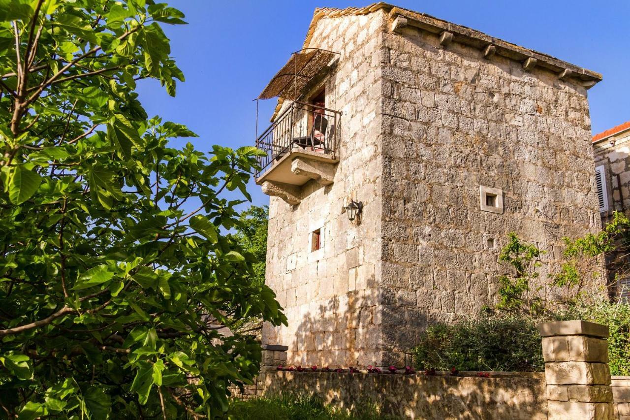 Old Small Stone House Zrnovo Bagian luar foto