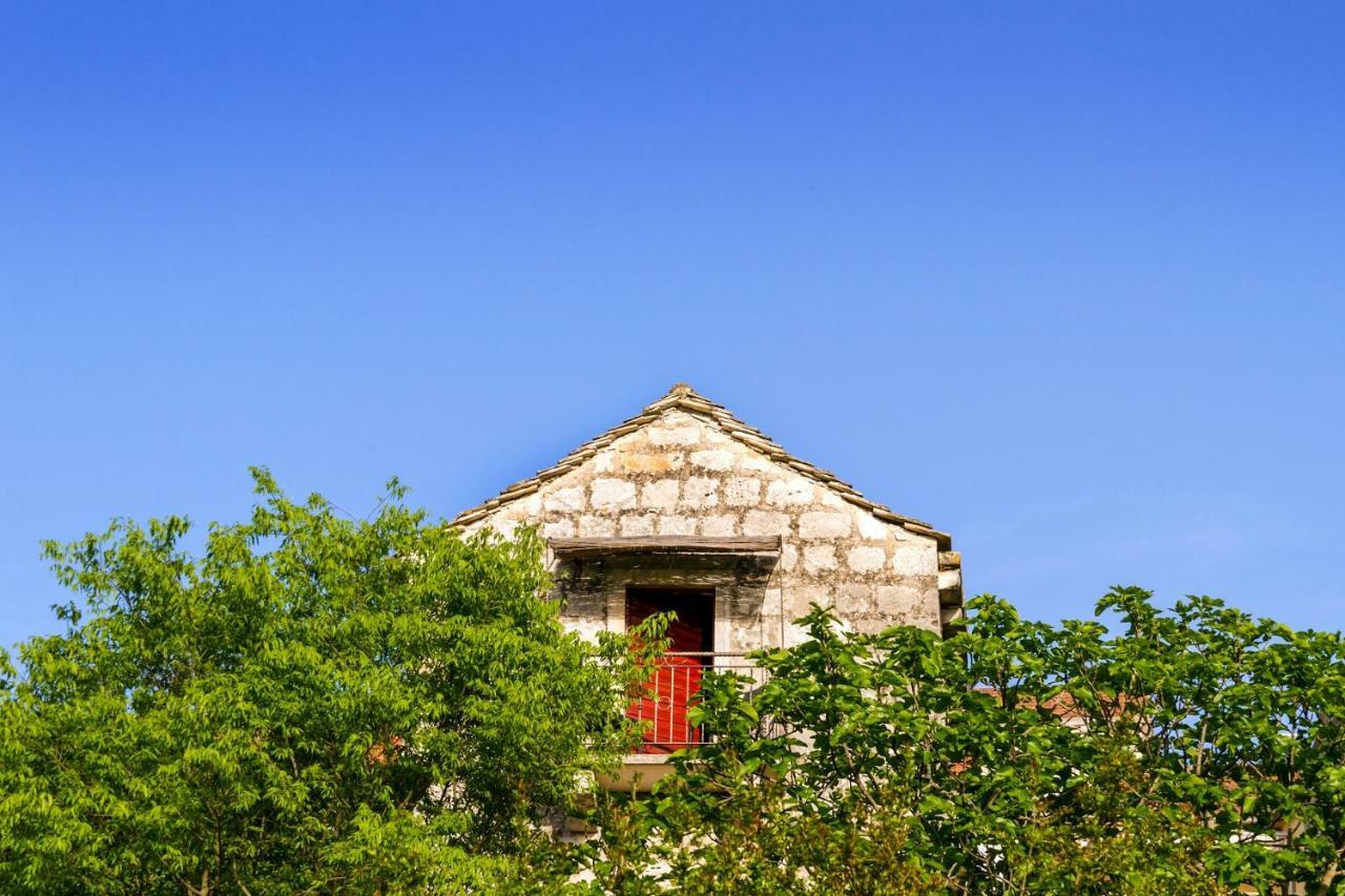 Old Small Stone House Zrnovo Bagian luar foto