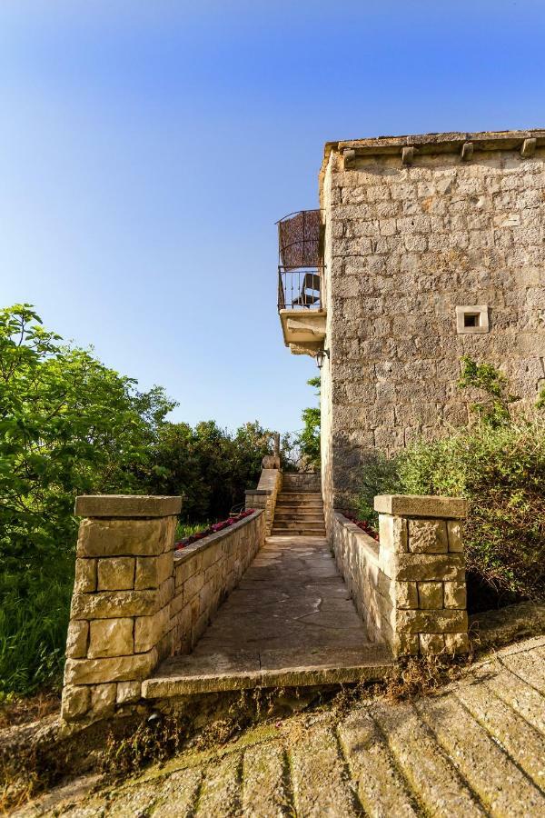 Old Small Stone House Zrnovo Bagian luar foto